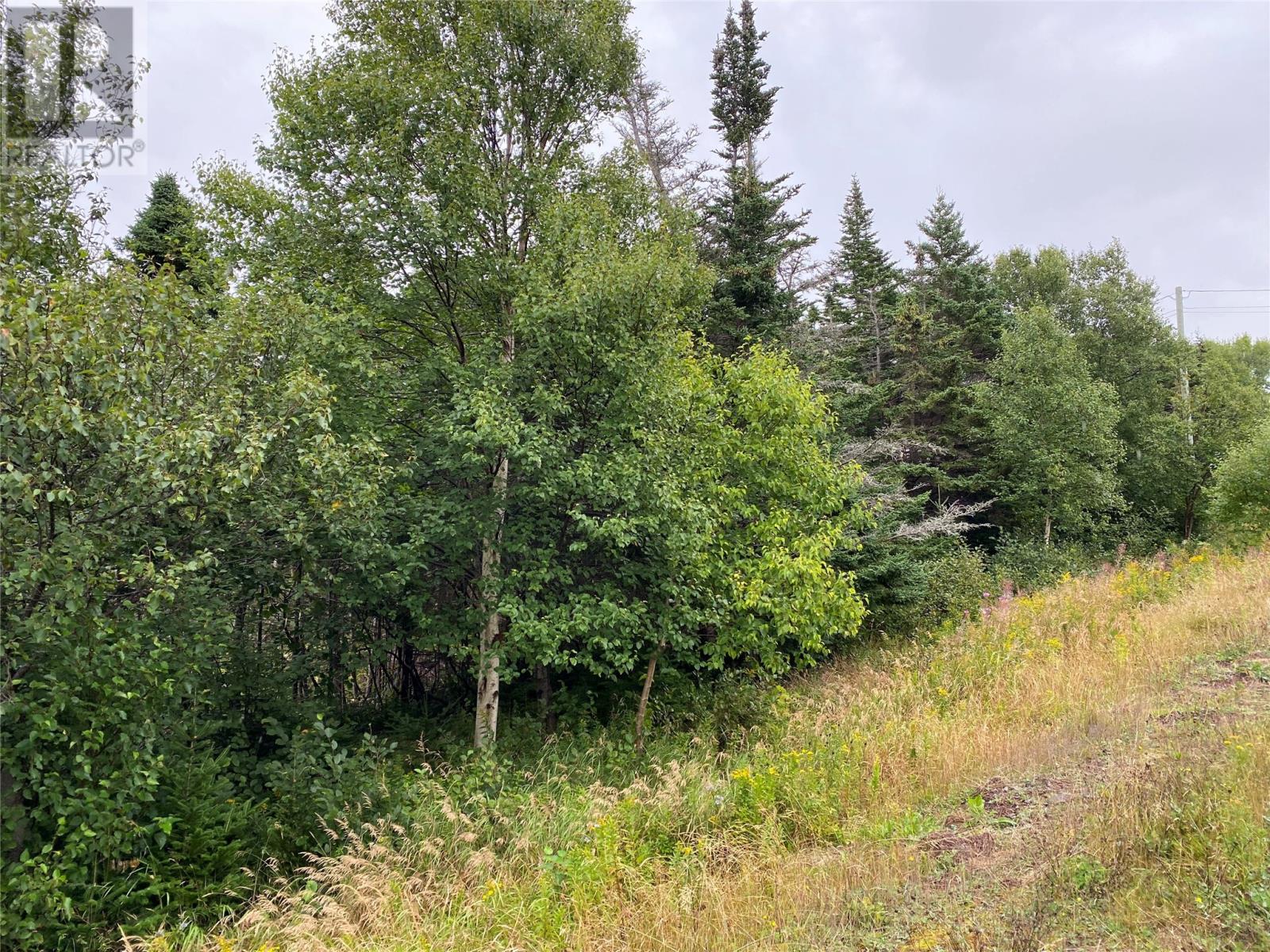 77-97 Country Road, Hearts Delight, Newfoundland & Labrador  A0B 2A0 - Photo 9 - 1287857