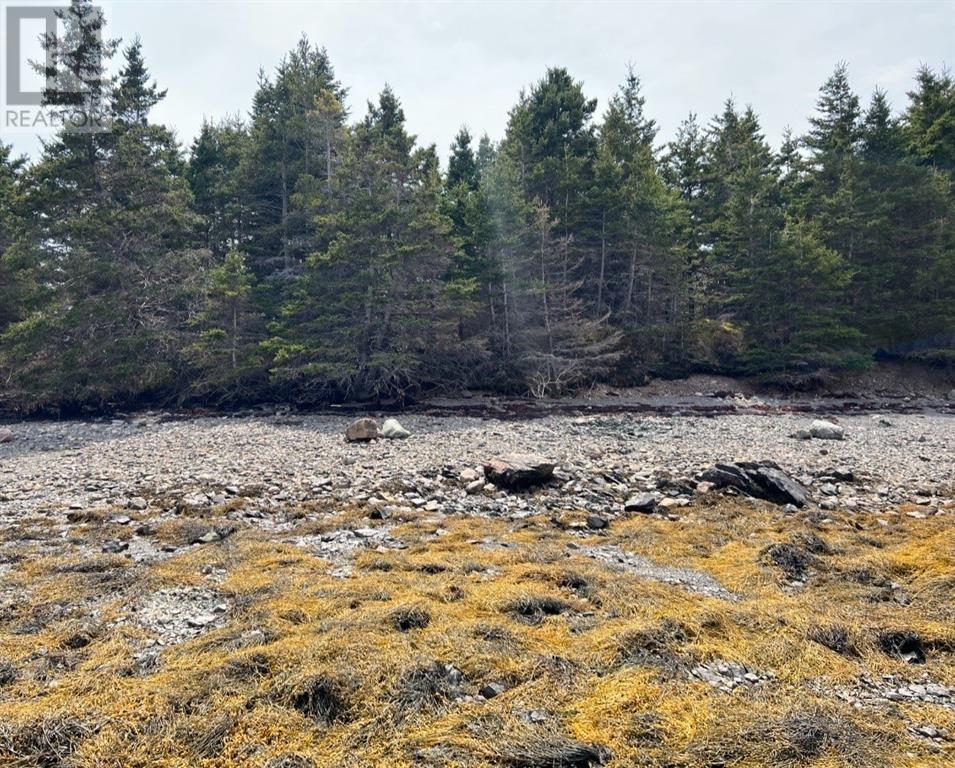 213a Creston Boulevard, Marystown, Newfoundland & Labrador  A0E 2M0 - Photo 1 - 1287842