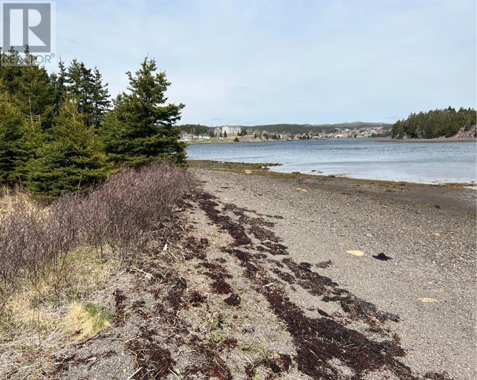 213a Creston Boulevard, Marystown, Newfoundland & Labrador  A0E 2M0 - Photo 2 - 1287842