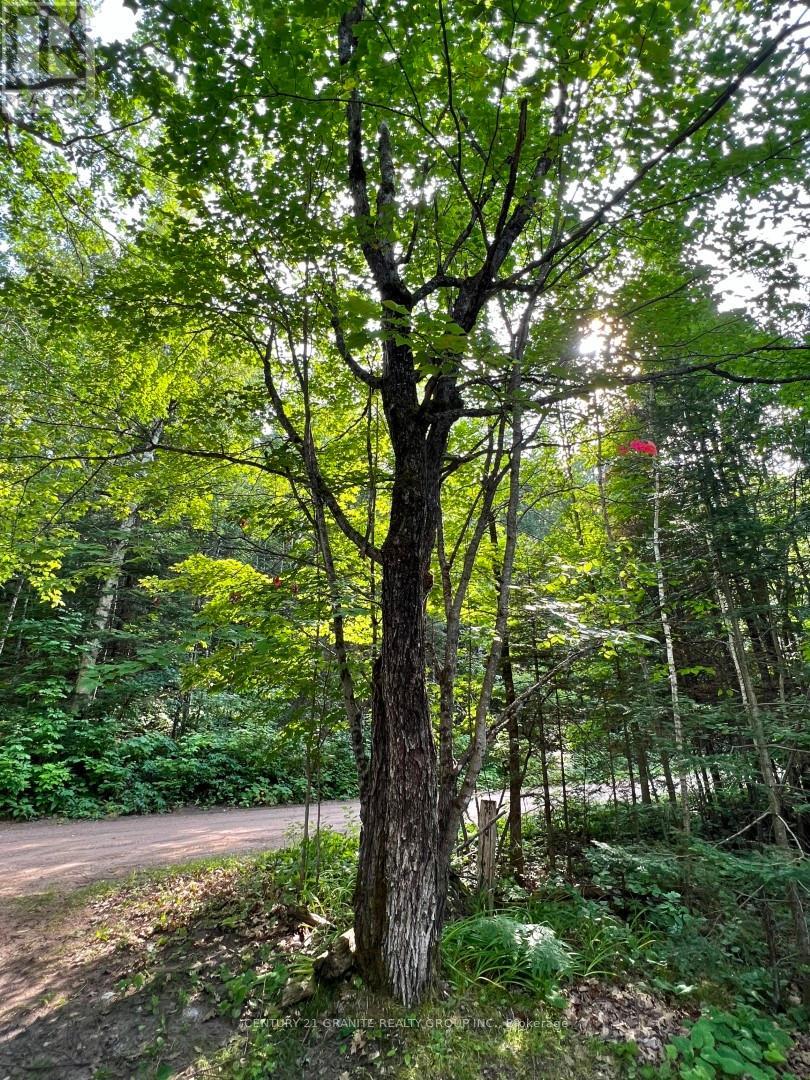 261 Browns Road, Brudenell, Ontario  K0L 1G0 - Photo 31 - X12285001