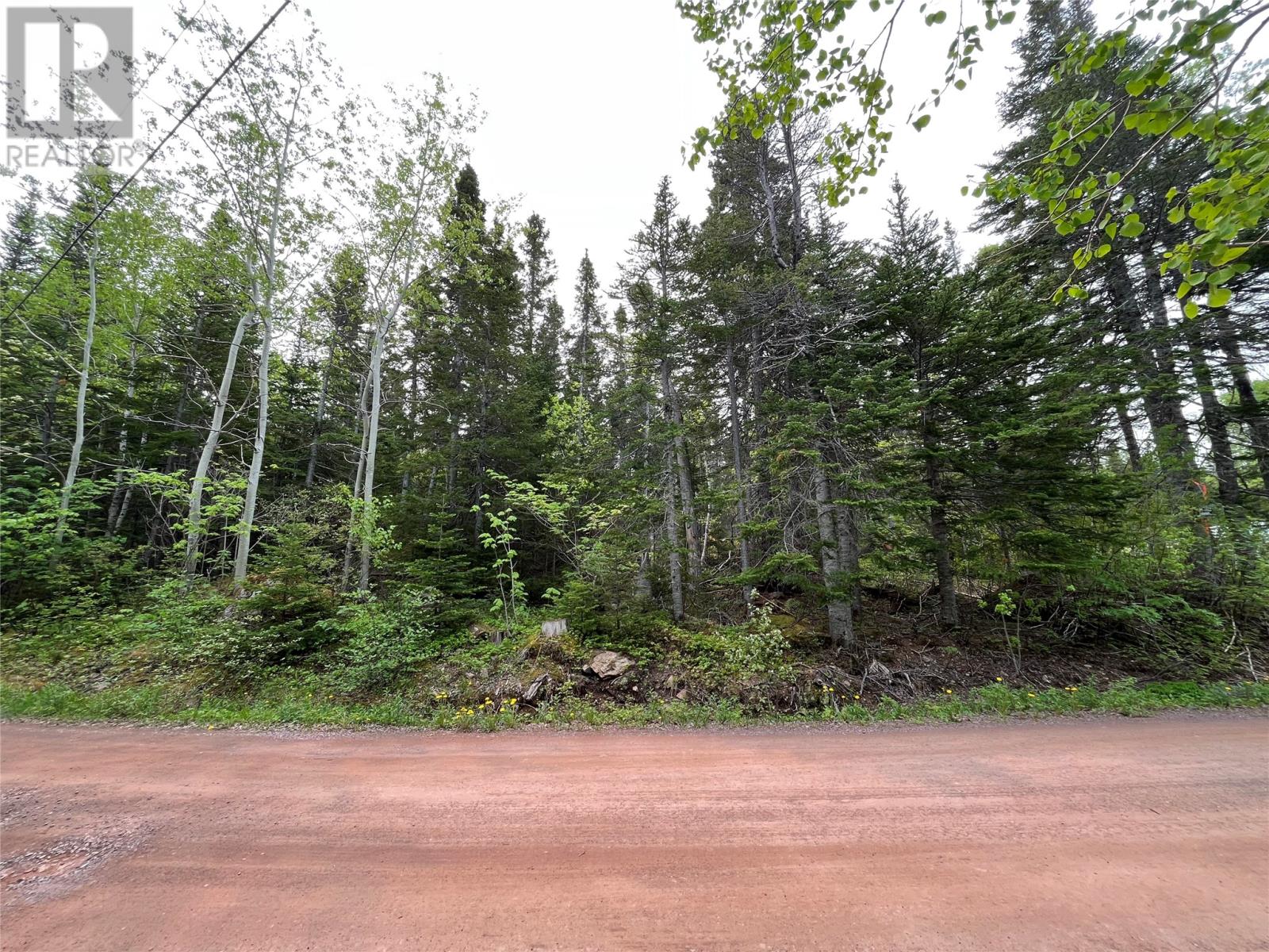 113 Askels Cove Road, Western Arm, Newfoundland & Labrador  A0H 1Z0 - Photo 2 - 1287690