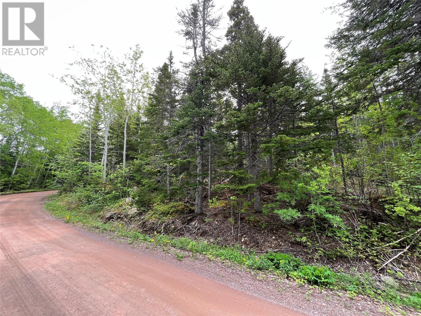 113 Askels Cove Road, Western Arm, Newfoundland & Labrador  A0H 1Z0 - Photo 3 - 1287690
