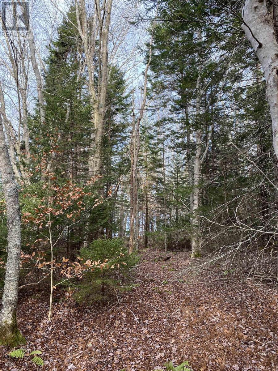 Lot 2 Grosses Coques Road, Grosses Coques, Nova Scotia  B0W 3T0 - Photo 10 - 202503888