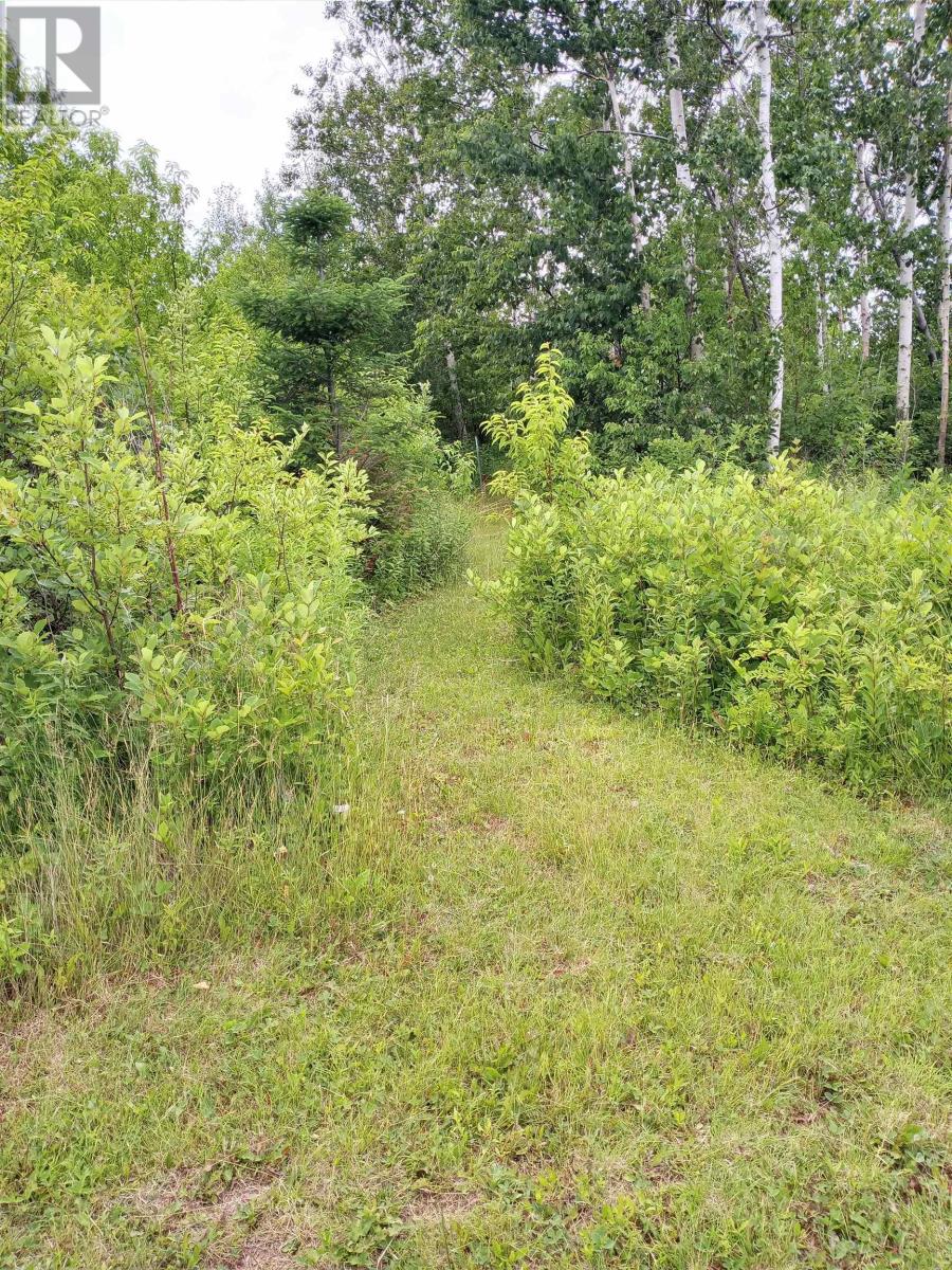 Lot 11-1 Curley Lane, Belmont, Prince Edward Island  C0B 1T0 - Photo 2 - 202517648