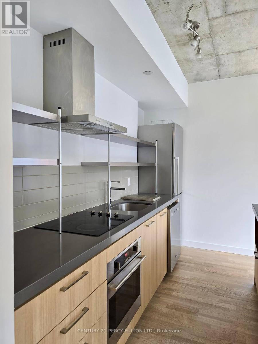 213 - 560 King Street W, Toronto, Ontario  M5V 0L6 - Photo 7 - C12285008