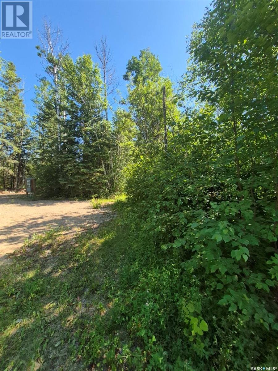 Lot 133 Birchwood Avenue, Canwood Rm No. 494, Saskatchewan  S0J 0Y0 - Photo 2 - SK012101