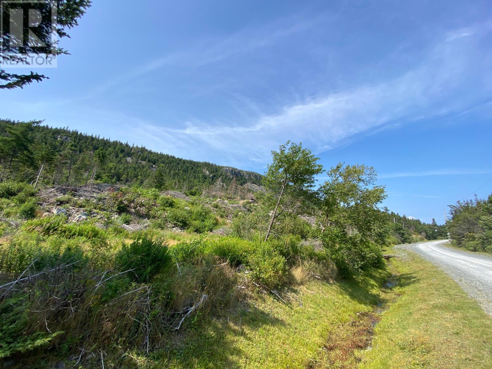 0 Drockety Road, Emerald Vale, Newfoundland & Labrador  A0A 2X0 - Photo 15 - 1287843