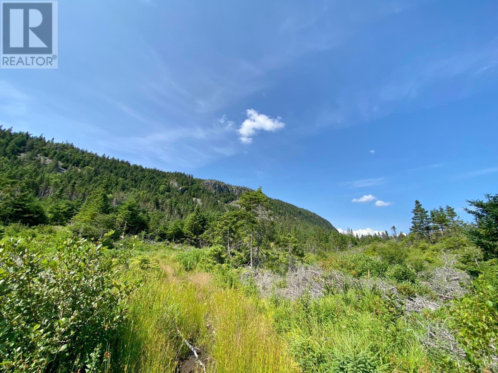 0 Drockety Road, Emerald Vale, Newfoundland & Labrador  A0A 2X0 - Photo 6 - 1287843