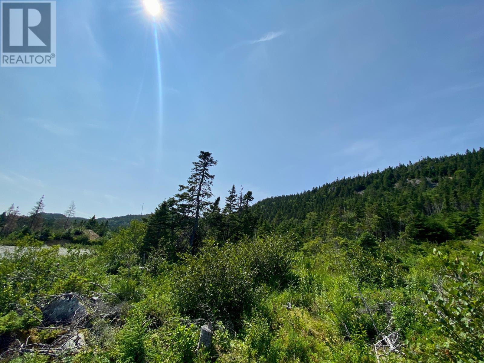 0 Drockety Road, Emerald Vale, Newfoundland & Labrador  A0A 2X0 - Photo 7 - 1287843
