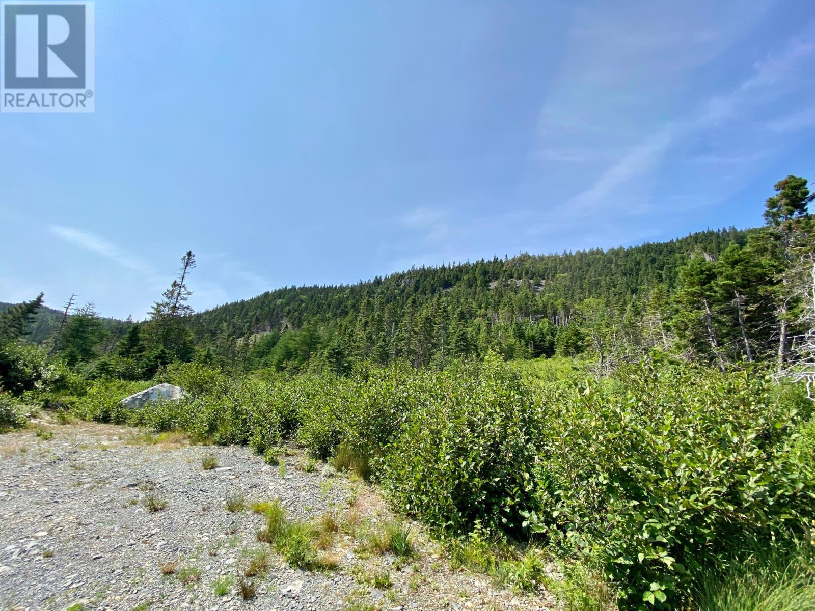 0 Drockety Road, Emerald Vale, Newfoundland & Labrador  A0A 2X0 - Photo 9 - 1287843