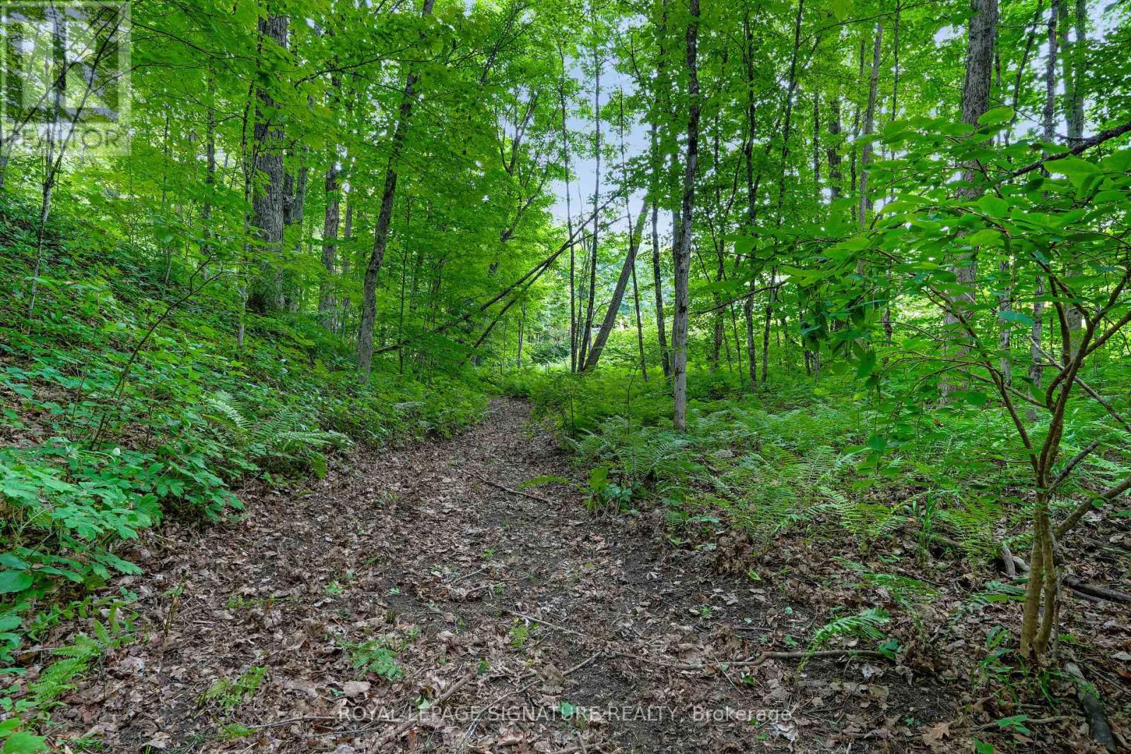 1064 Omagaki Road, Minden Hills (Minden), Ontario  K0M 2K0 - Photo 46 - X12285176