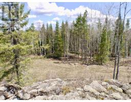 0 Brown Bay RD, Dinorwic, Ontario