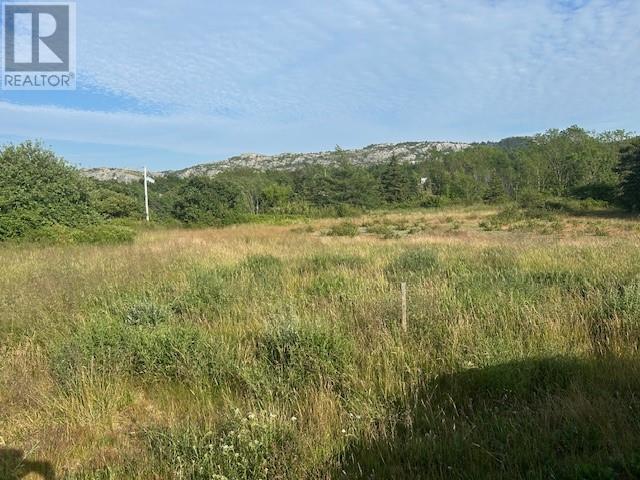 10 School Lane, Brigus, Newfoundland & Labrador  A0A 1K0 - Photo 3 - 1278263
