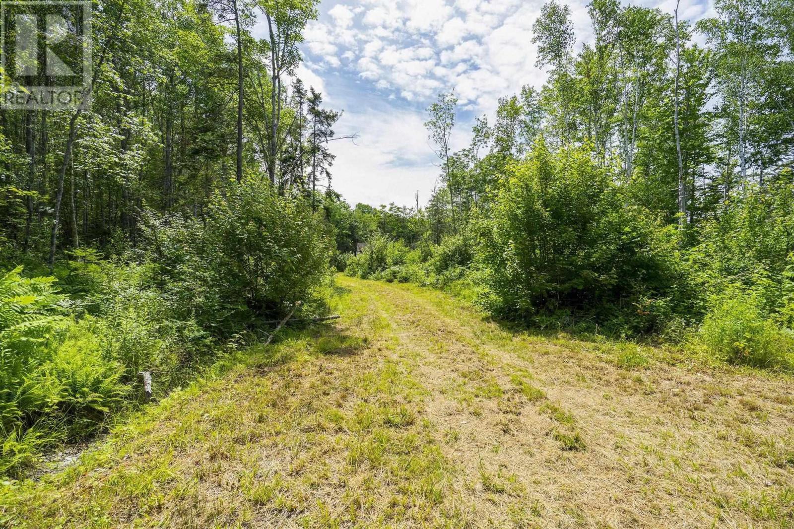 259 Bill Berry Road, Princedale, Nova Scotia  B0S 1G0 - Photo 31 - 202517676