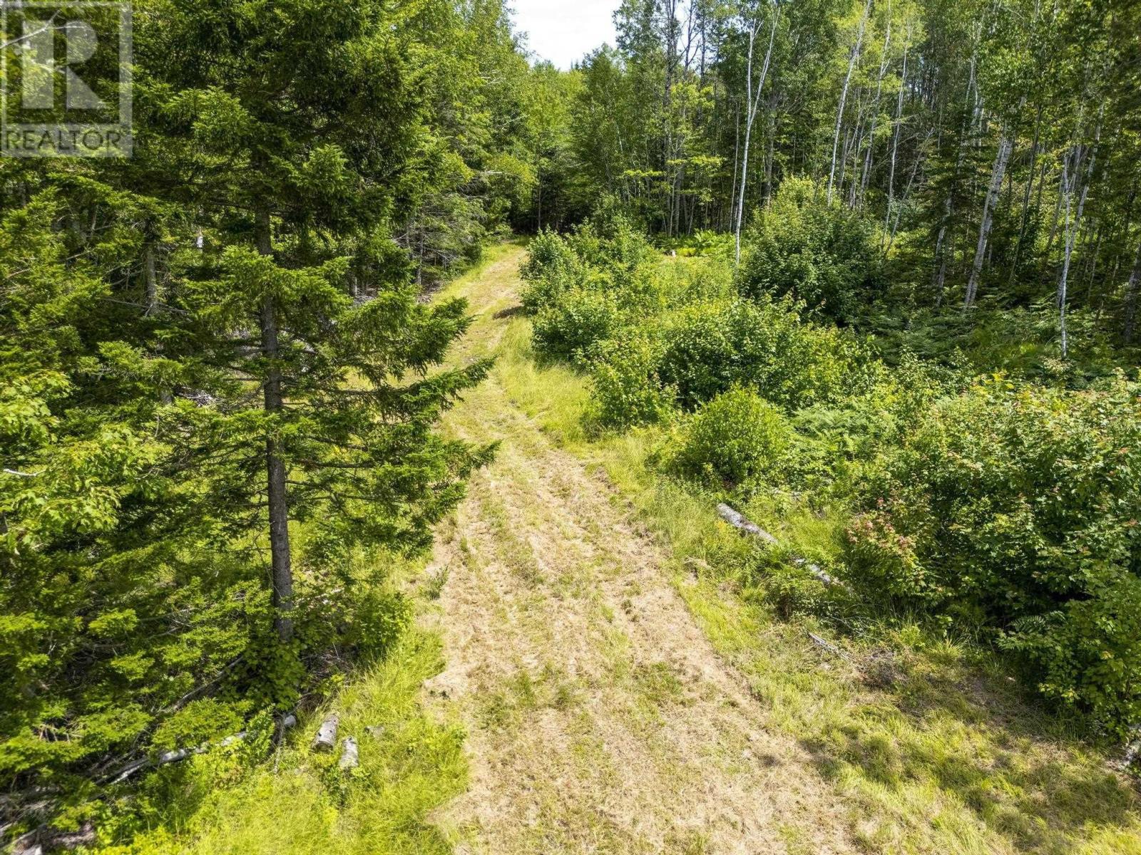 259 Bill Berry Road, Princedale, Nova Scotia  B0S 1G0 - Photo 20 - 202517676