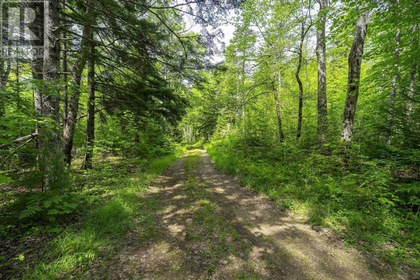 259 Bill Berry Road, Princedale, Nova Scotia  B0S 1G0 - Photo 39 - 202517676