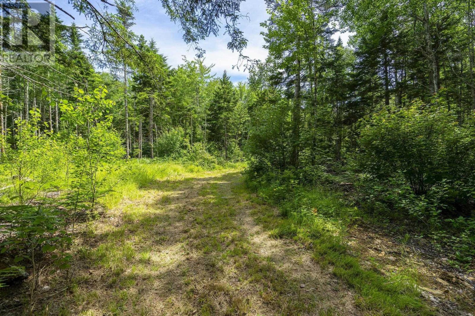 259 Bill Berry Road, Princedale, Nova Scotia  B0S 1G0 - Photo 37 - 202517676