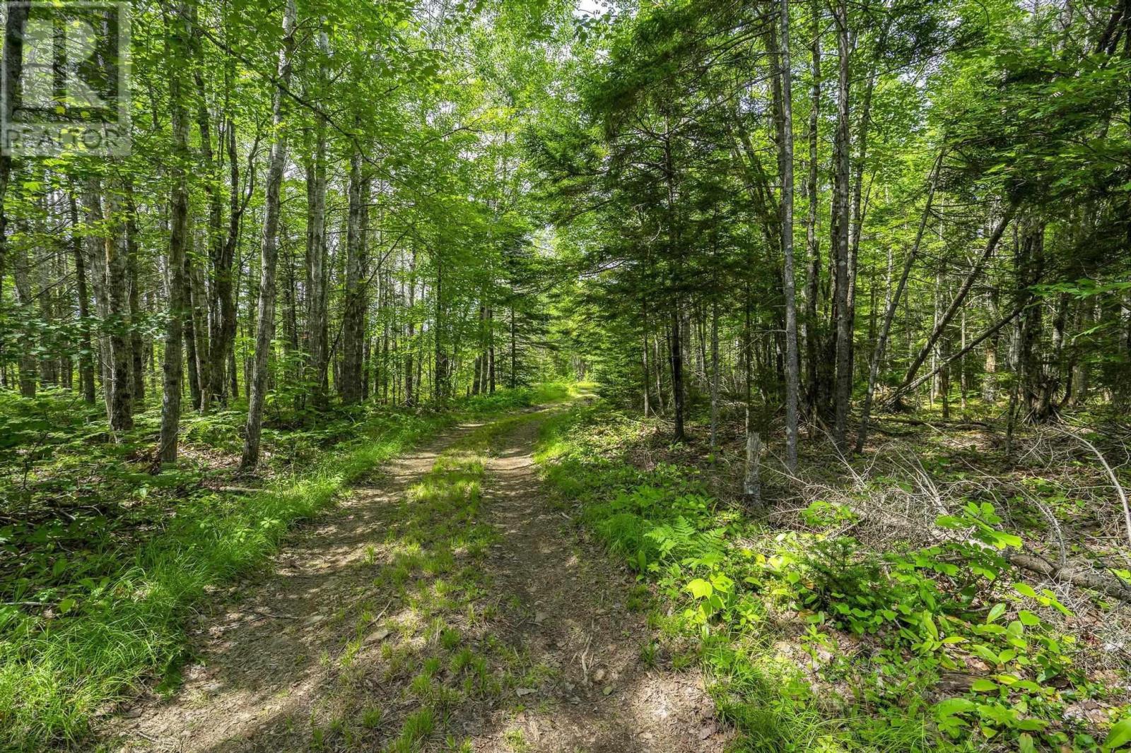 259 Bill Berry Road, Princedale, Nova Scotia  B0S 1G0 - Photo 36 - 202517676