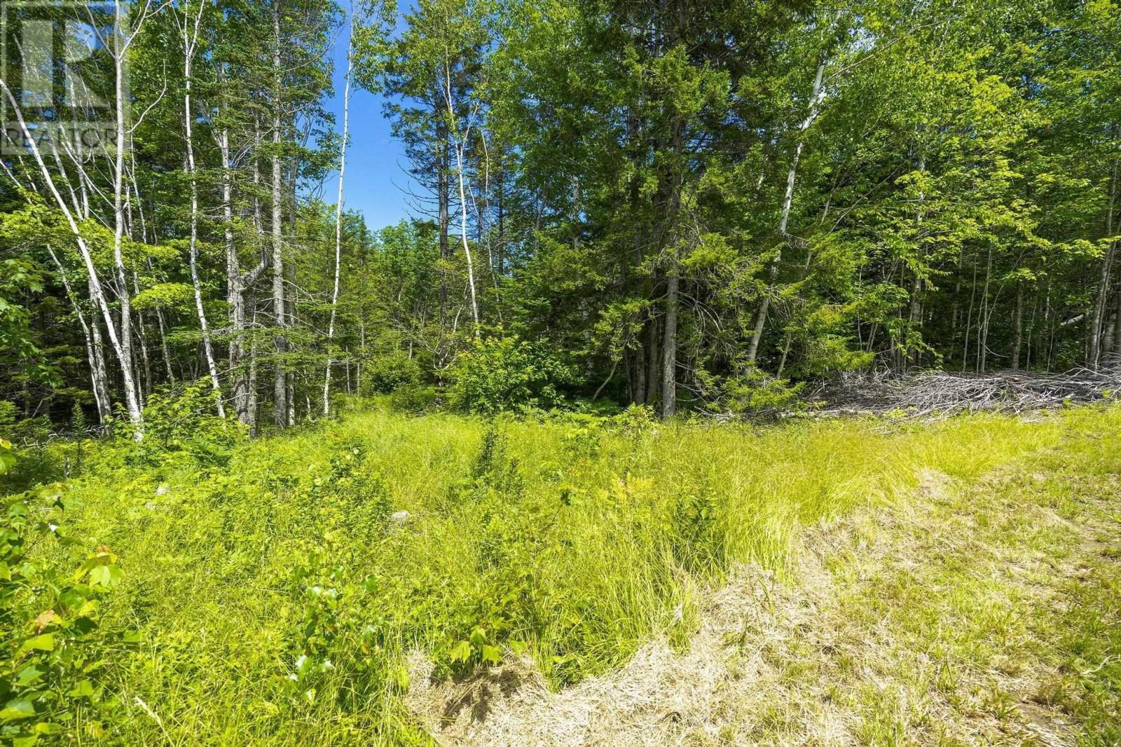 259 Bill Berry Road, Princedale, Nova Scotia  B0S 1G0 - Photo 29 - 202517676