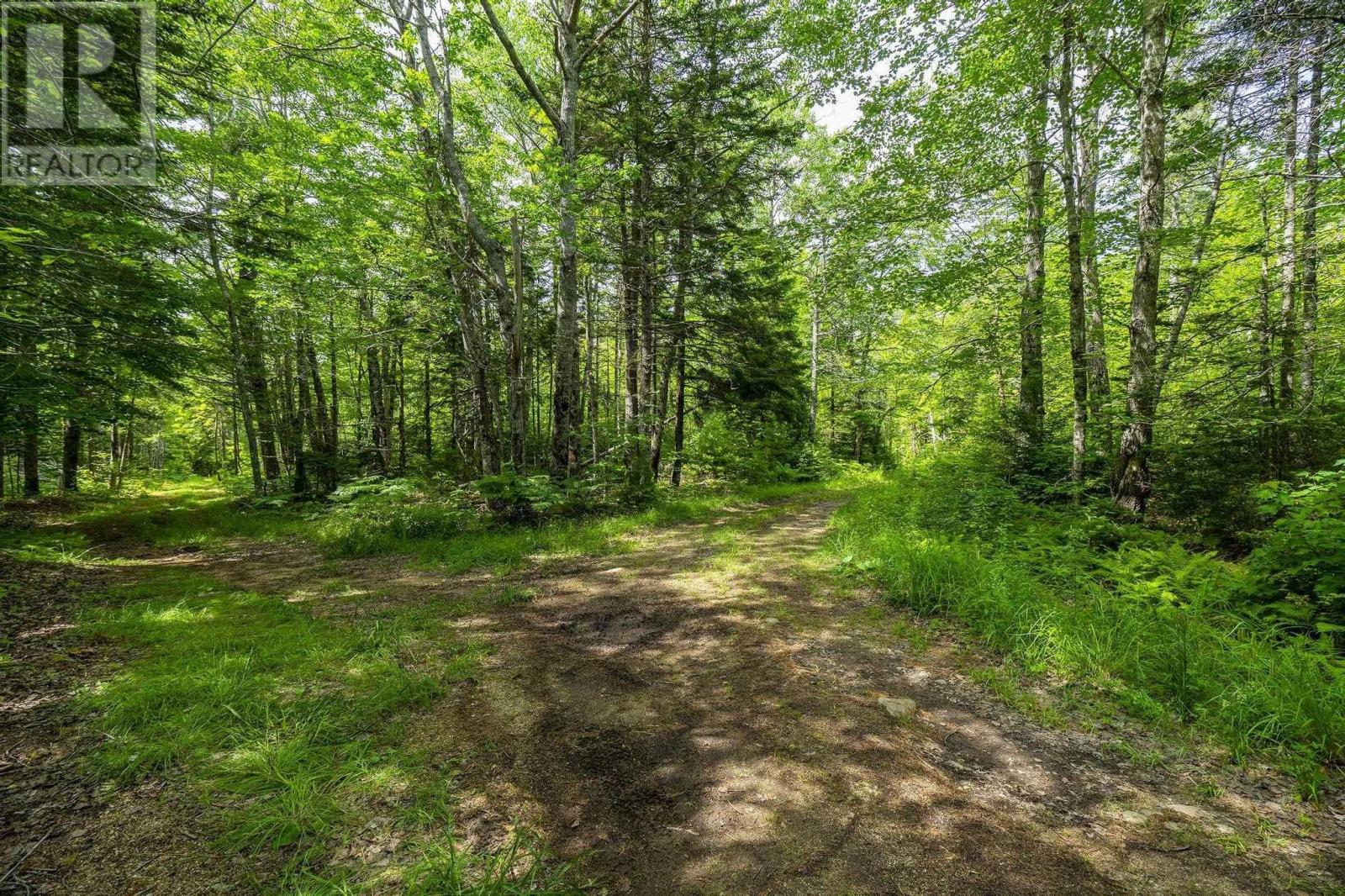 259 Bill Berry Road, Princedale, Nova Scotia  B0S 1G0 - Photo 38 - 202517676