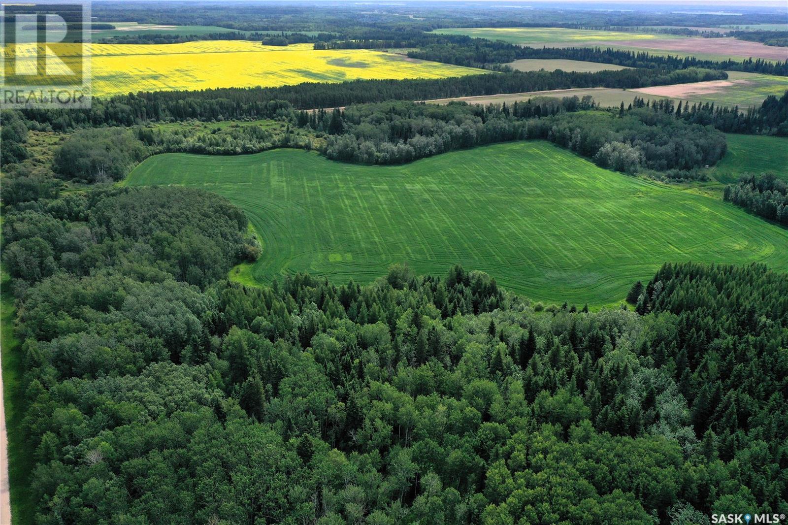 Kielbiski Land NE Sask, torch river rm no. 488, Saskatchewan