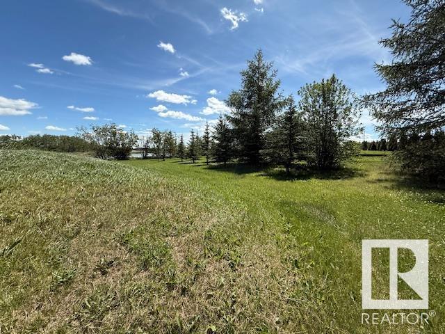 501043 Rr 23, Rural Vermilion River County, Alberta  T0B 0L0 - Photo 58 - E4447783
