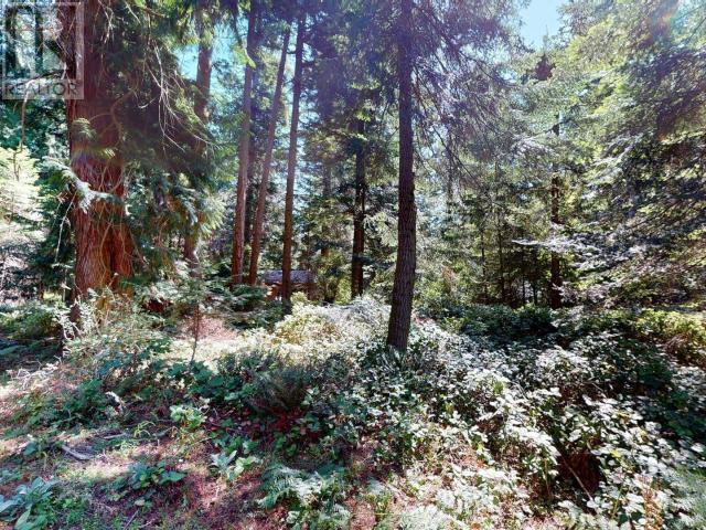 1349 Vancouver Blvd, Savary Island, British Columbia   - Photo 3 - 19142