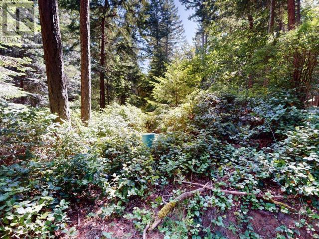 1349 Vancouver Blvd, Savary Island, British Columbia   - Photo 7 - 19142