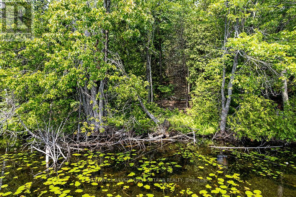 000 Graceys Island, Frontenac (Frontenac Centre), Ontario  K0H 2P0 - Photo 11 - X12286113