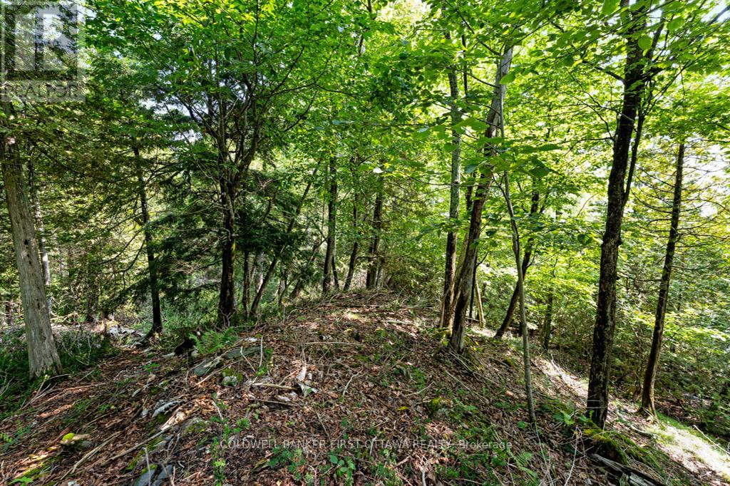 000 Graceys Island, Frontenac (Frontenac Centre), Ontario  K0H 2P0 - Photo 12 - X12286113