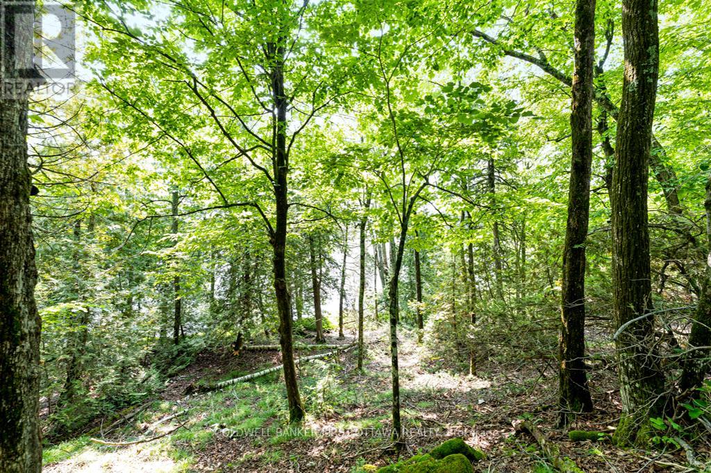 000 Graceys Island, Frontenac (Frontenac Centre), Ontario  K0H 2P0 - Photo 14 - X12286113