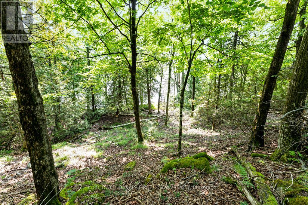 000 Graceys Island, Frontenac (Frontenac Centre), Ontario  K0H 2P0 - Photo 15 - X12286113