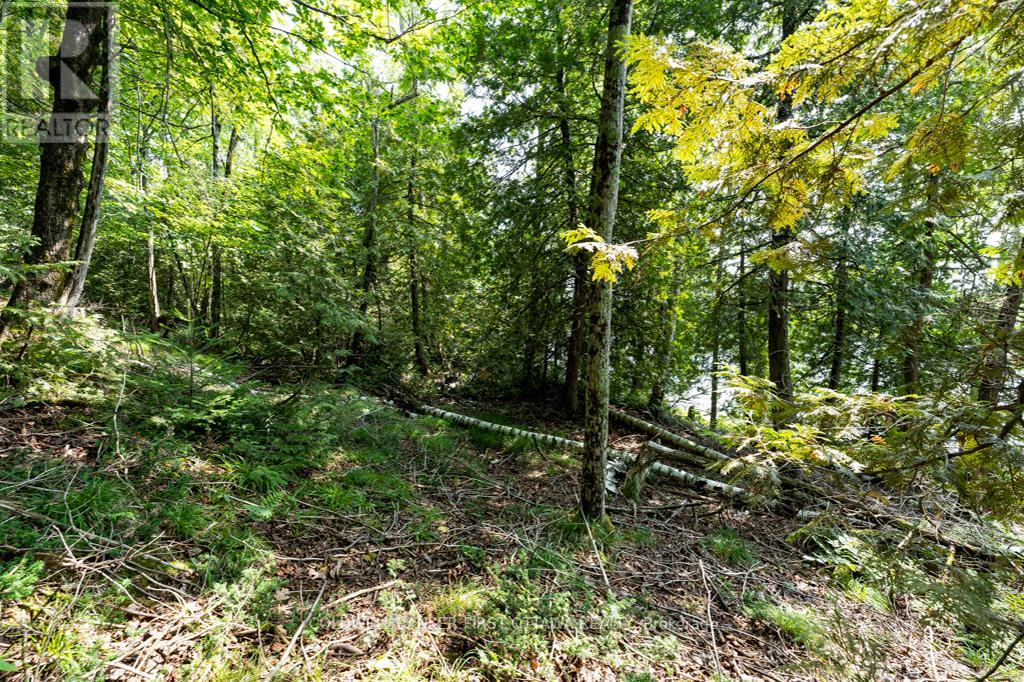 000 Graceys Island, Frontenac (Frontenac Centre), Ontario  K0H 2P0 - Photo 16 - X12286113