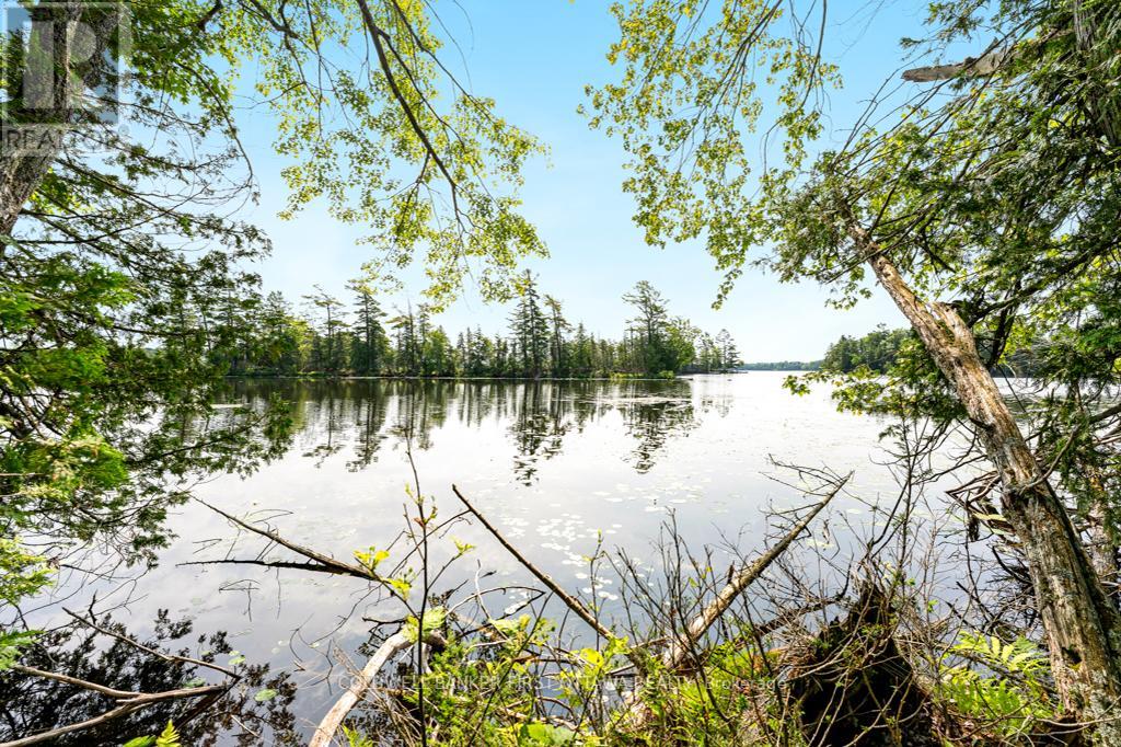 000 Graceys Island, Frontenac (Frontenac Centre), Ontario  K0H 2P0 - Photo 17 - X12286113