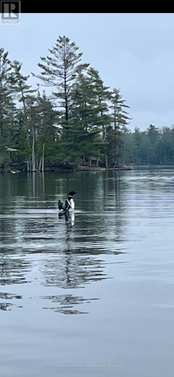 000 Graceys Island, Frontenac (Frontenac Centre), Ontario  K0H 2P0 - Photo 19 - X12286113