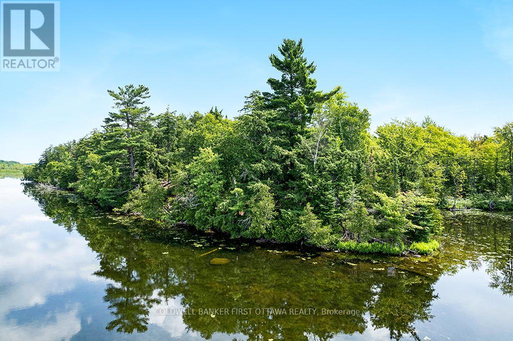 000 Graceys Island, Frontenac (Frontenac Centre), Ontario  K0H 2P0 - Photo 5 - X12286113