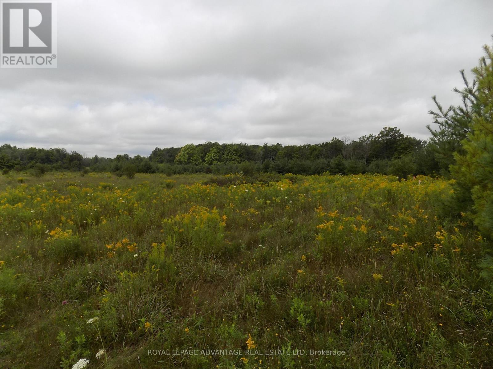 0 Hwy 43 Rd Highway W, Drummond/north Elmsley, Ontario  K7H 3C7 - Photo 5 - X12286164