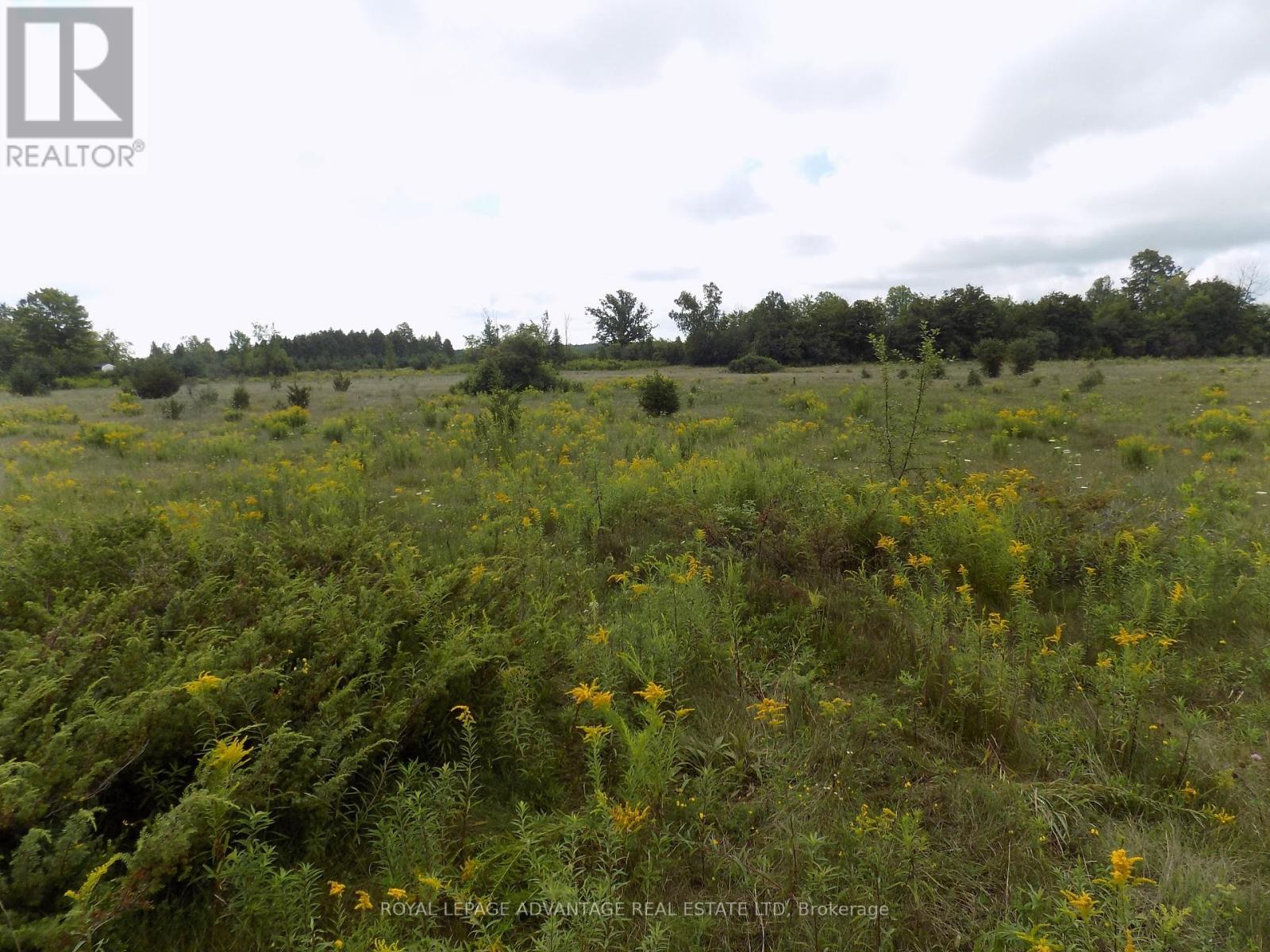 00 Hwy 43 Rd. W Highway, Drummond/north Elmsley, Ontario  K7H 3C7 - Photo 4 - X12286184