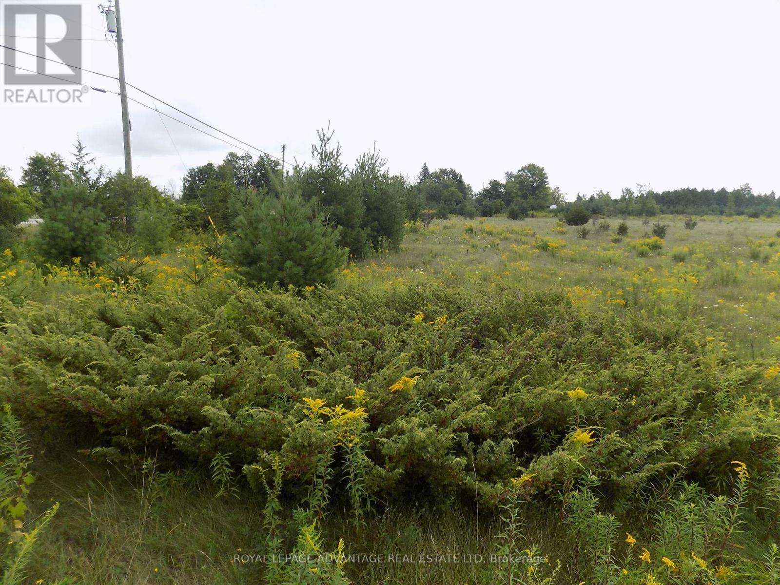 00 Hwy 43 Rd. W Highway, Drummond/north Elmsley, Ontario  K7H 3C7 - Photo 7 - X12286184