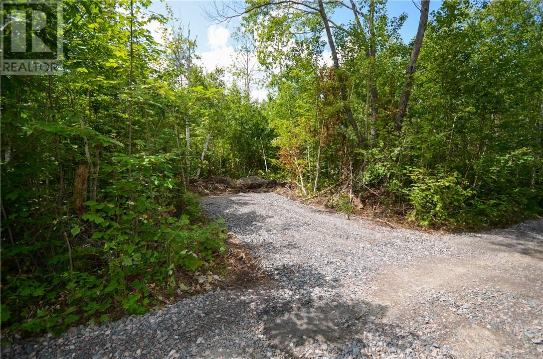 0 South Lane, Greater Sudbury, Ontario  P3G 1C8 - Photo 6 - 2123417