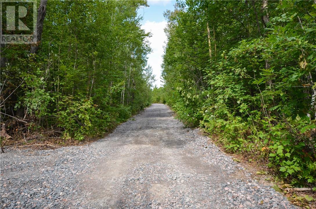0 South Lane, Greater Sudbury, Ontario  P3G 1C8 - Photo 7 - 2123417
