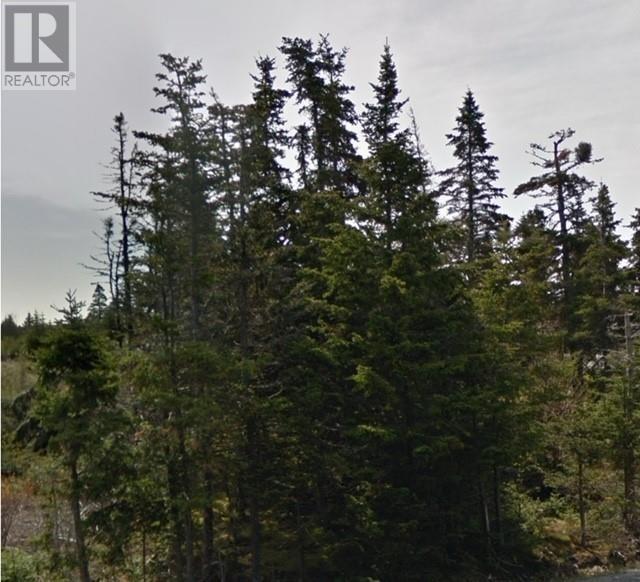 367 Roaches Line Unit#b, Roaches Line, Newfoundland & Labrador  A0A 1W0 - Photo 2 - 1287811