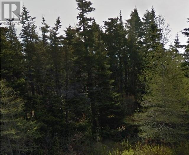 367 Roaches Line Unit#b, Roaches Line, Newfoundland & Labrador  A0A 1W0 - Photo 3 - 1287811