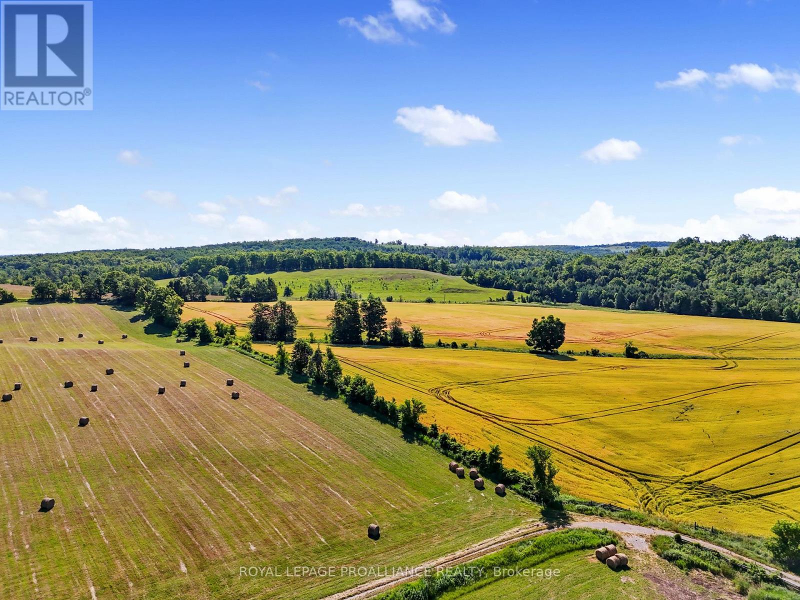 128 Clark Road, Alnwick/haldimand, Ontario  K0K 2X0 - Photo 22 - X12286287