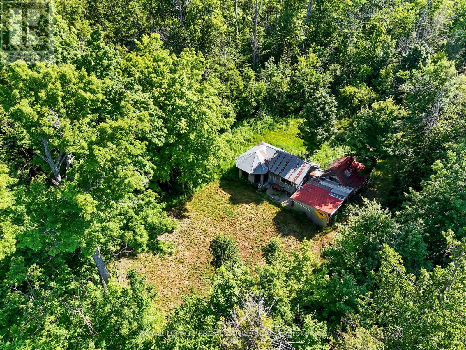 128 Clark Road, Alnwick/haldimand, Ontario  K0K 2X0 - Photo 35 - X12286287