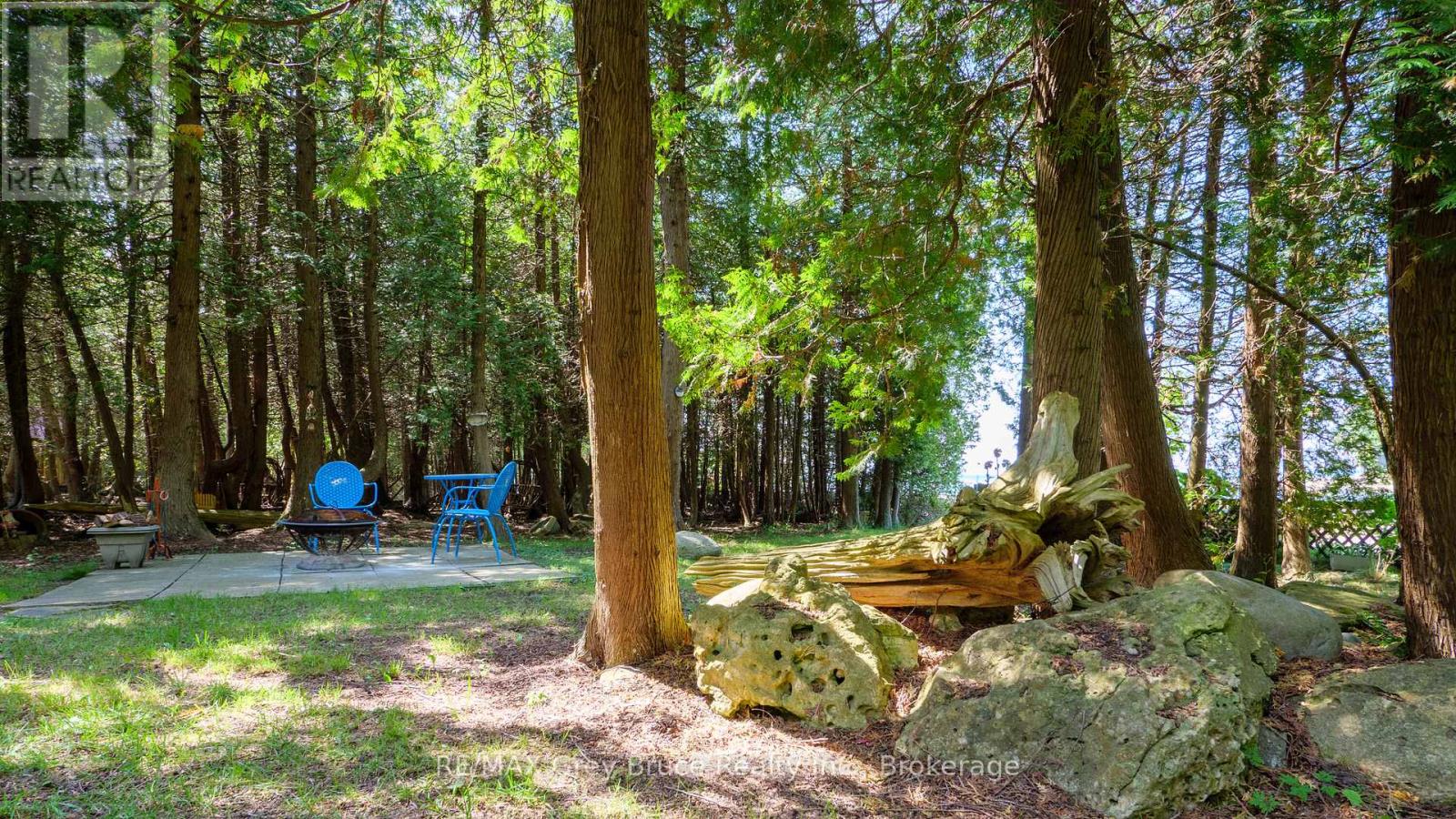 7 Purgatory Road, Northern Bruce Peninsula, Ontario  N0H 1W0 - Photo 7 - X12097873