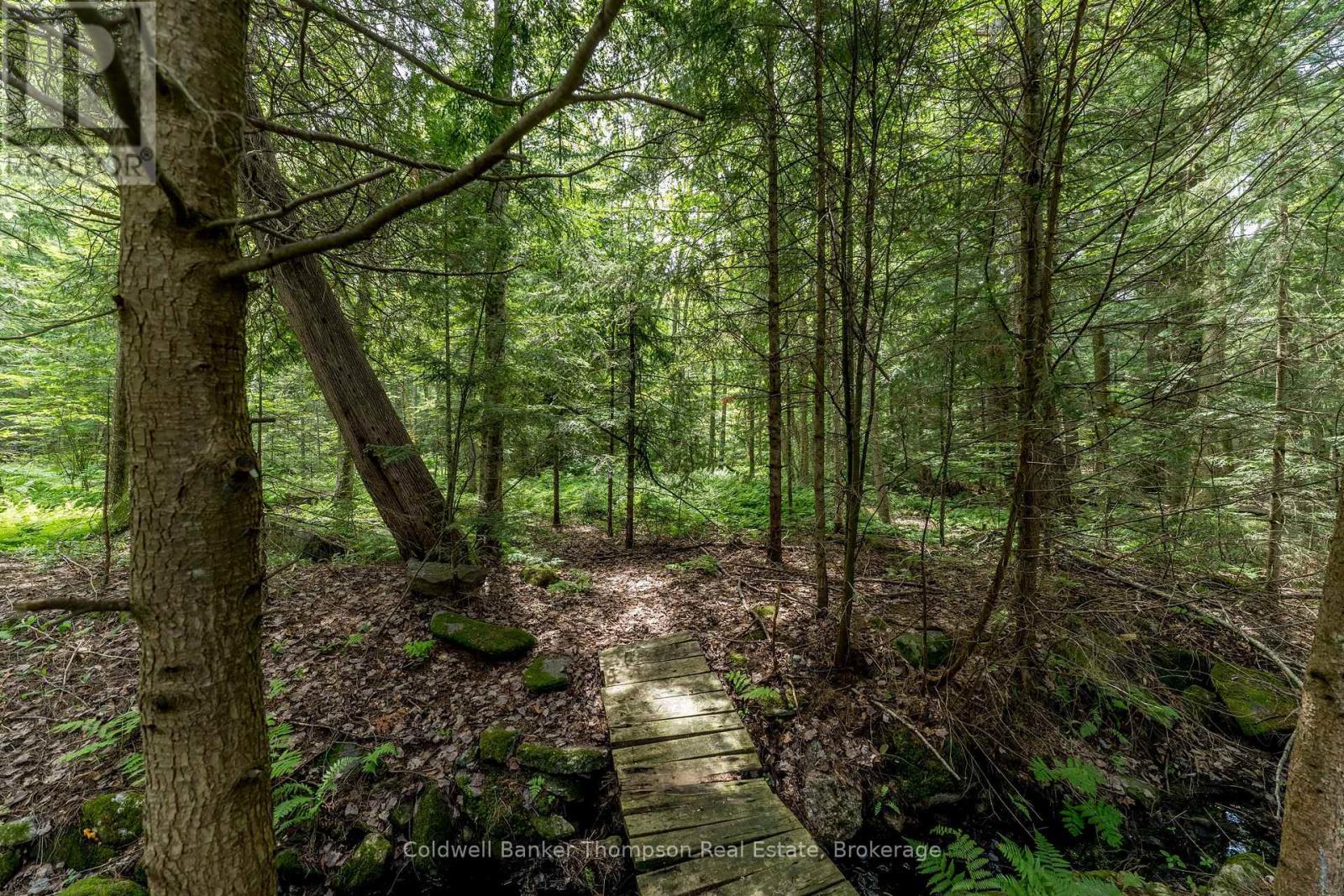 1378 Old Hwy 117, Lake Of Bays, Ontario  P0B 1A0 - Photo 39 - X12286460