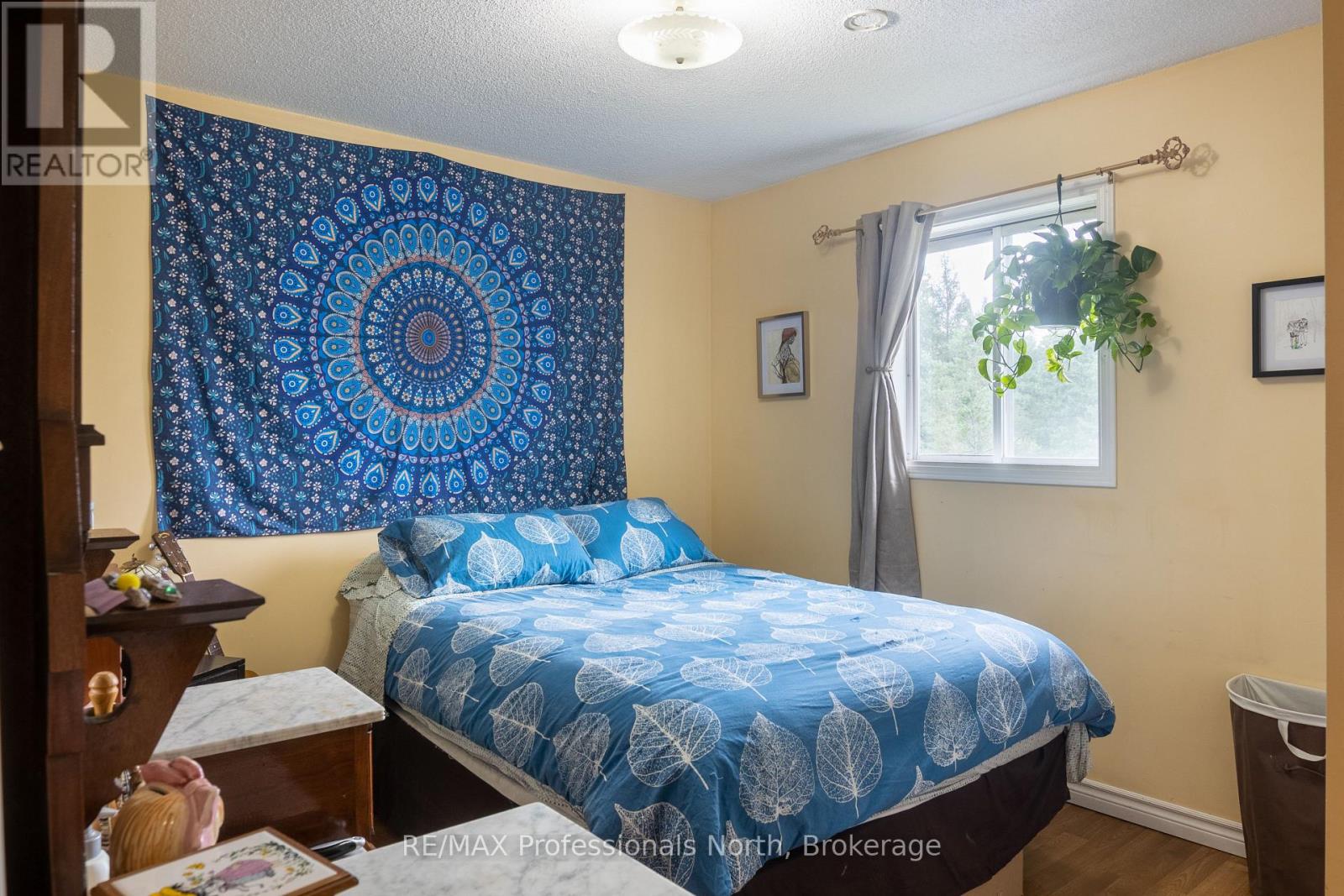 170 Bobcaygeon Road, Minden Hills (Minden), Ontario  K0M 2K0 - Photo 42 - X12238473