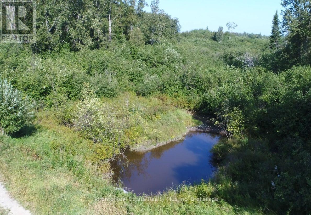 Pl 4769 & Pl 17474 Con 2 Playfair, Black River Matheson, Ontario  P0K 1R0 - Photo 6 - T12286473