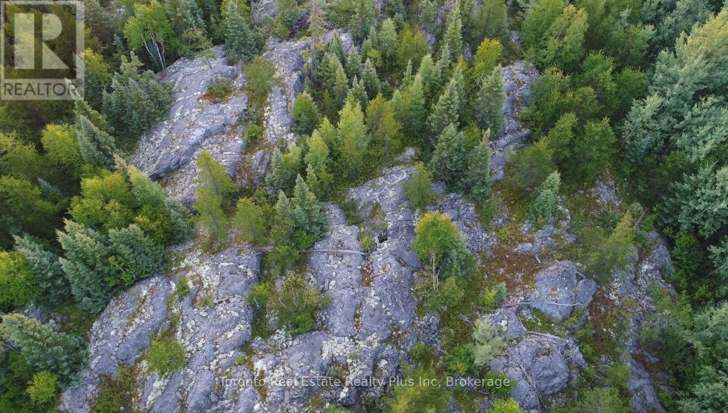 Pl 4769 & Pl 17474 Con 2 Playfair, Black River Matheson, Ontario  P0K 1R0 - Photo 9 - T12286473